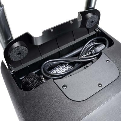 LD Systems ROADBUDDY 10 BASIC