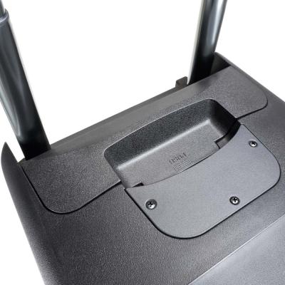 LD Systems ROADBUDDY 10