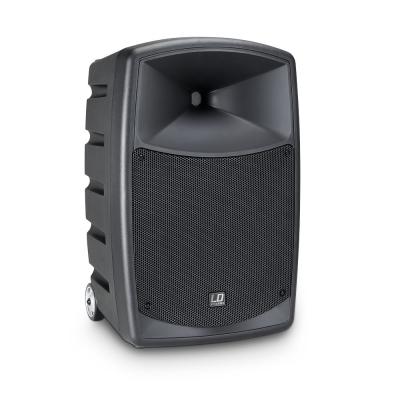 LD Systems ROADBUDDY 10