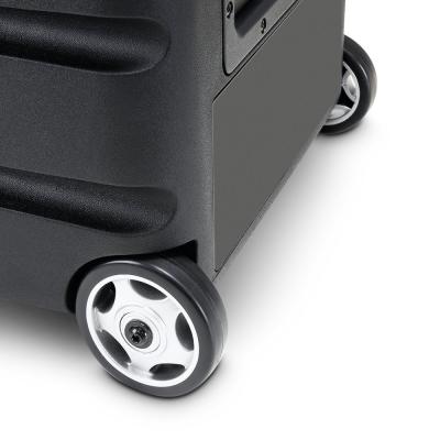 LD Systems ROADBUDDY 10 HS