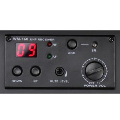LD Systems Roadman 102