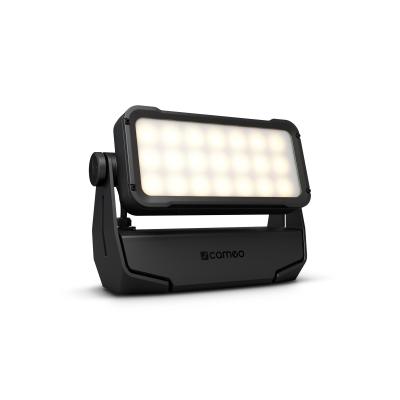 Cameo SNAPMAG DIFFUSOR W300i - 25°