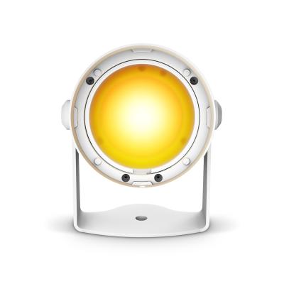 Cameo Q-SPOT 40I W