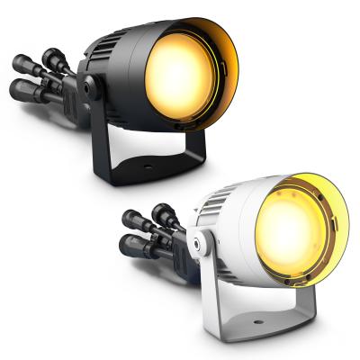 Cameo Q-SPOT 40I W