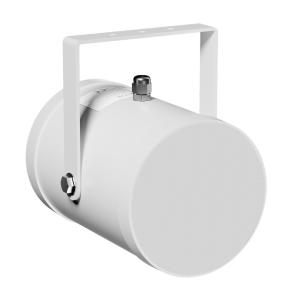 LD Systems CE PB10