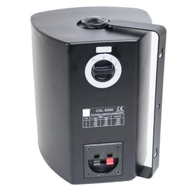 CES Audio CAL-5300U