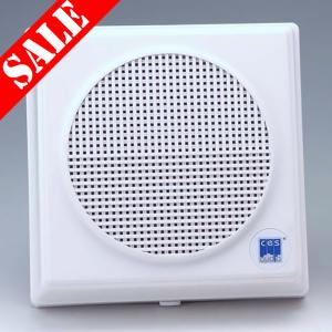 CES Audio WAS-6061