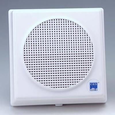 CES Audio WAS-6061