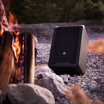 LD Systems ANNY 8 BPH B8