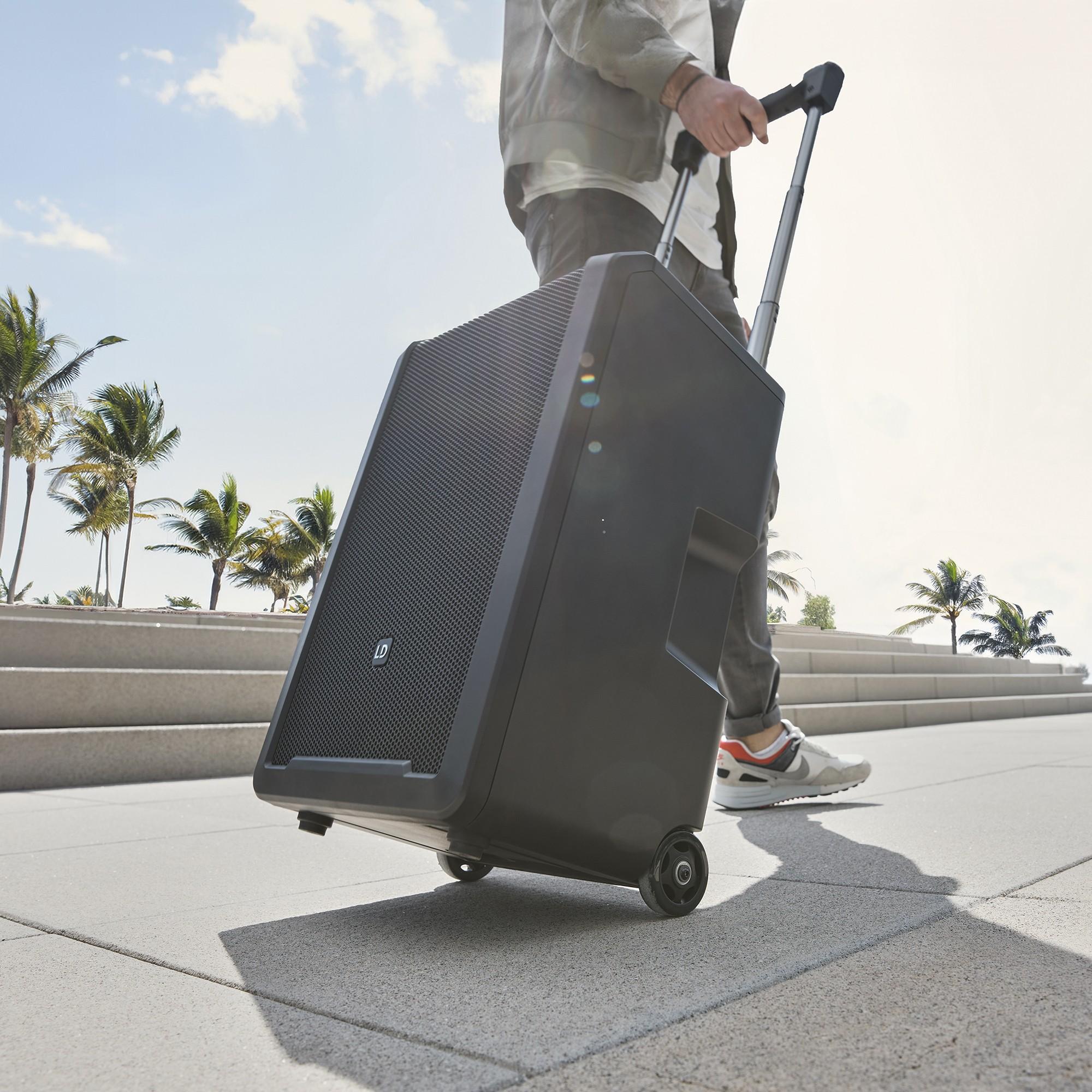 LD Systems ANNY 10 HBH 2 B8