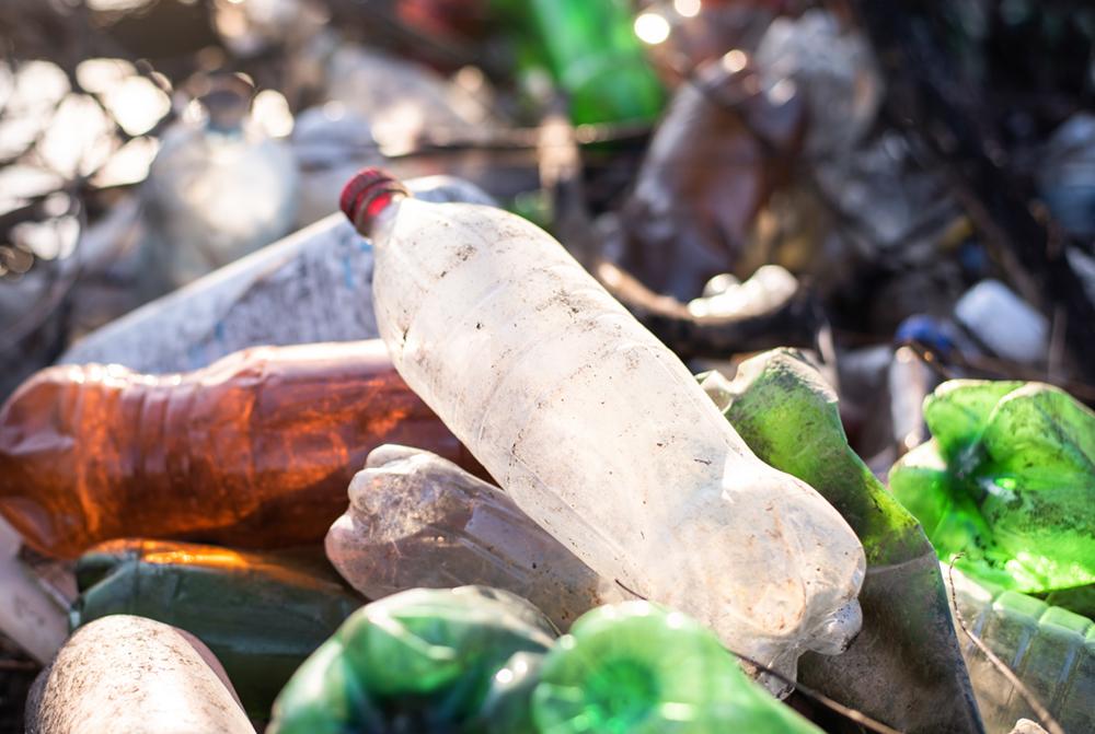 Omega Pro Audio ECO 4