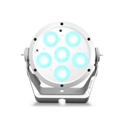 Cameo ROOT PAR 6