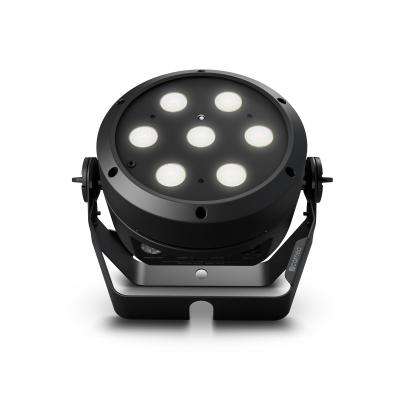 Cameo ROOT PAR TW