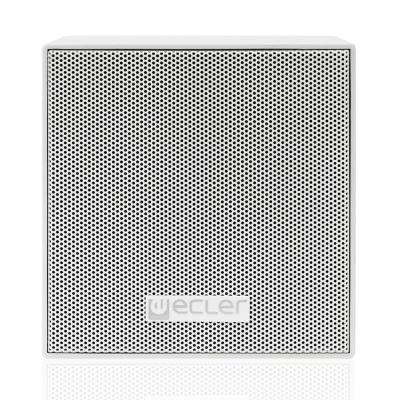 Ecler AMBIT13WH
