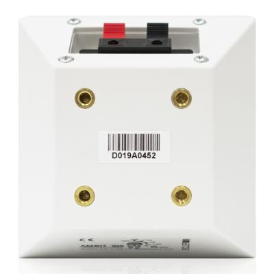 Ecler AMBIT13WH