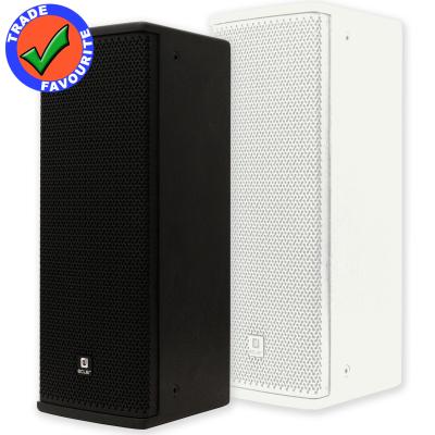 Ecler ARQIS205iW