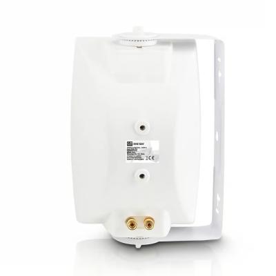LD Systems CWMS 52 W