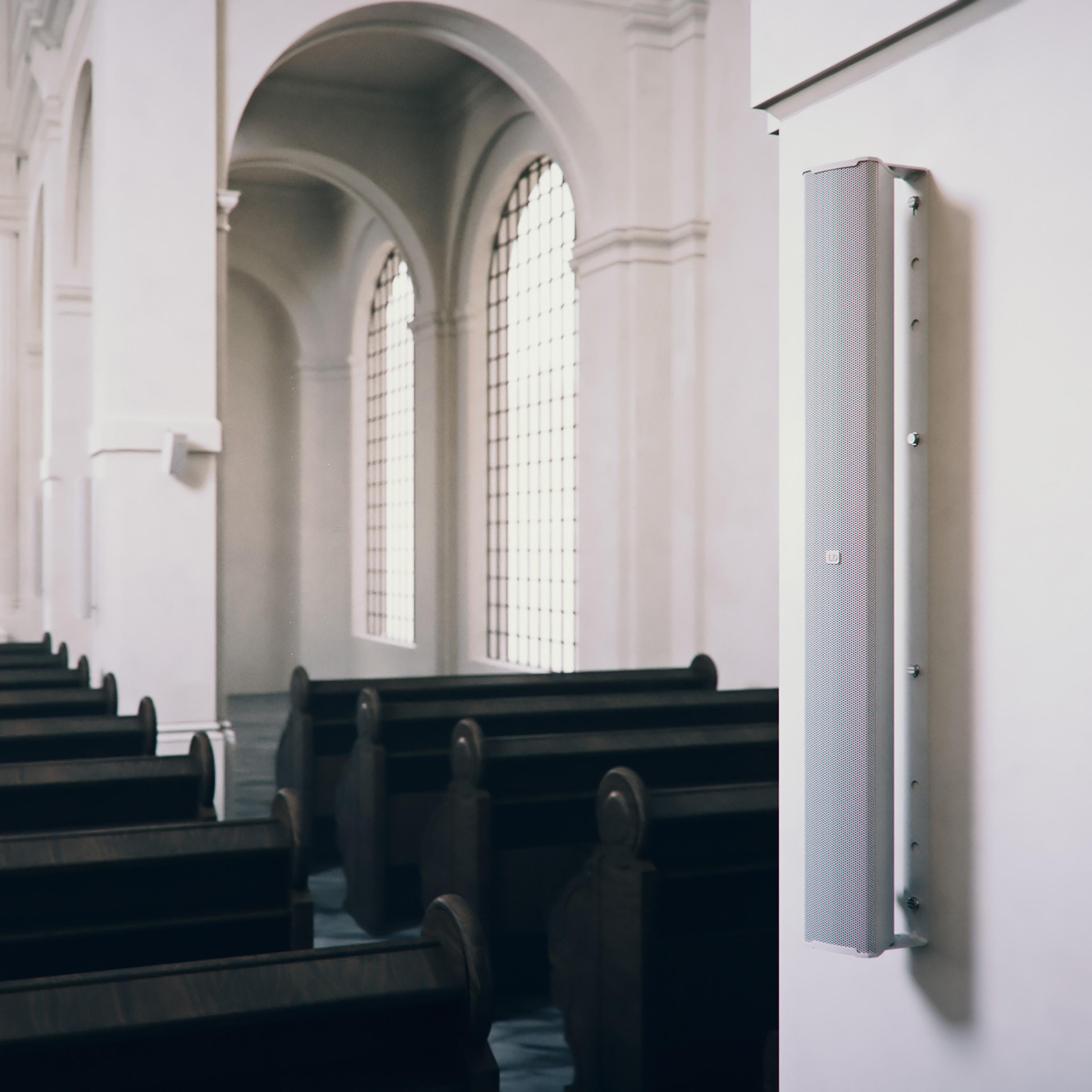 LD Systems MAUI i1 W