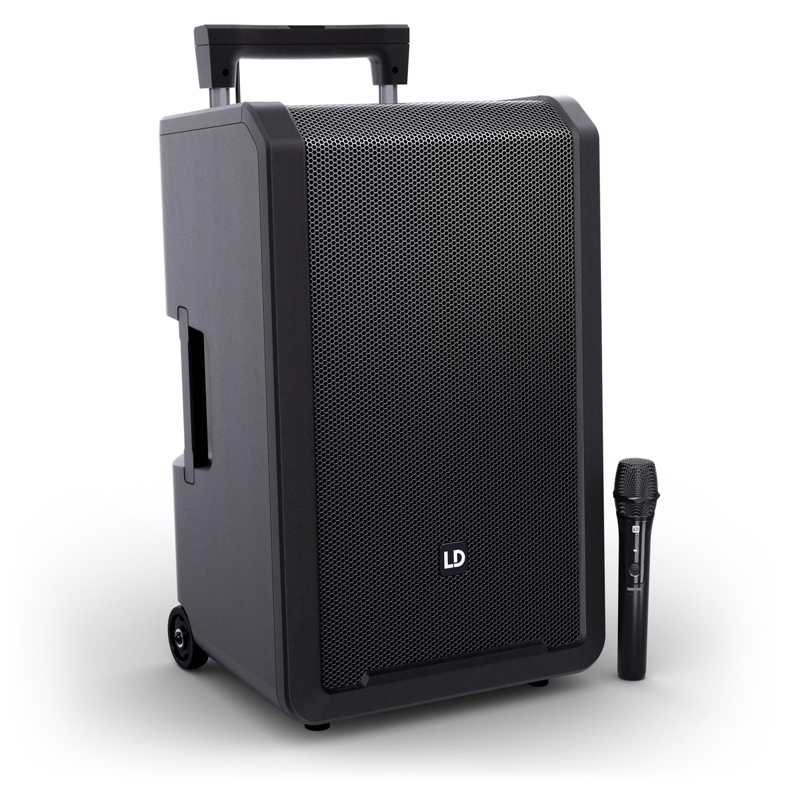 LD Systems ANNY12 HHD B8, Front with Wireless Handheld Mic