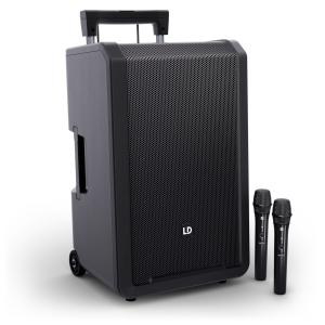 LD Systems ANNY 12 HHD2 B8